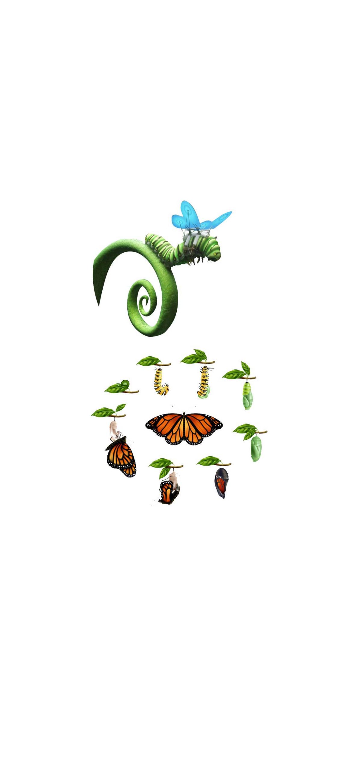 Image name